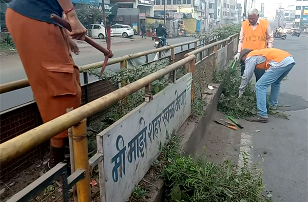 लातूर वृक्षकडून डिव्हायडरची सफाई